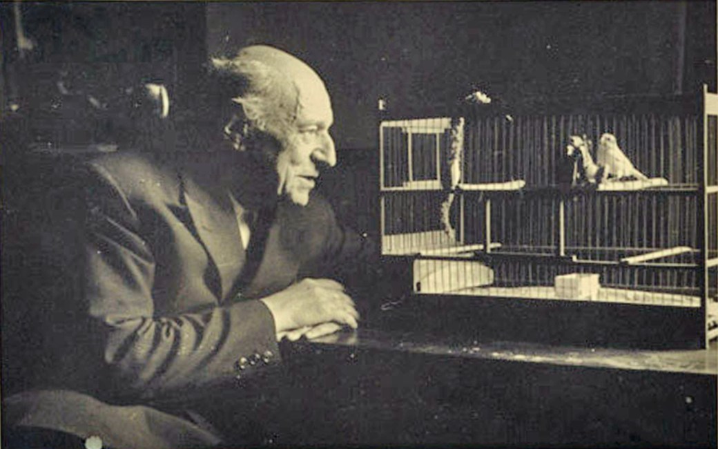 Immagine mostra. Umberto Saba. La poesia di una vita