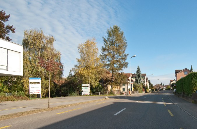 Romanshornerstrasse West-Ost_DSC0044_2