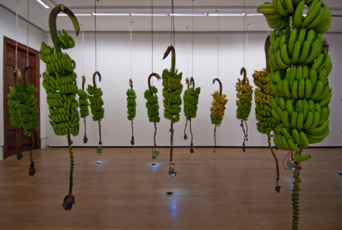 Jose Alejandro Restrepo_DSC0105_2