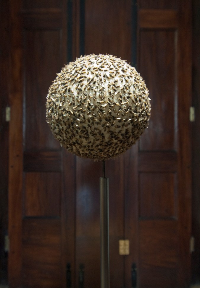 Maria Fernanda Cardoso_DSC0144_2