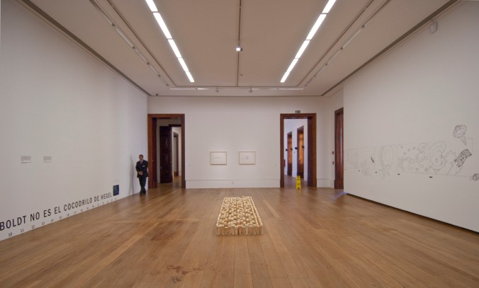 Miguel Ángel Rojas_DSC0198_2