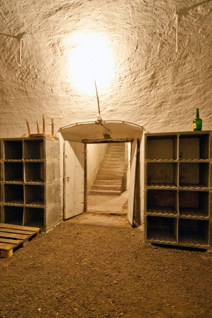 Löwen, grosser Keller, Treppe_DSC0079_2