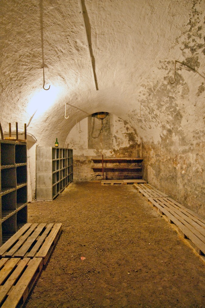 Löwen, grosser Keller_DSC0080_2