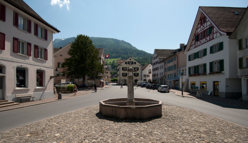 Platz, Traube, links_DSC0026_2