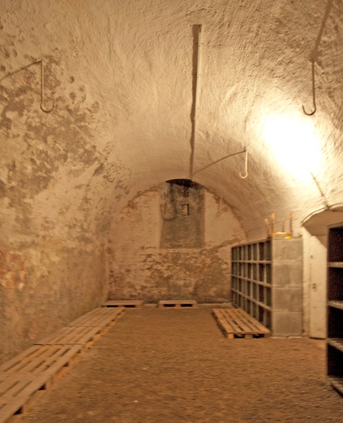 Löwen, Keller_DSC0078_2