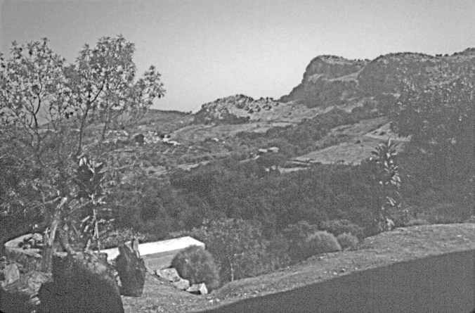 Timparussa 01, b&w 150